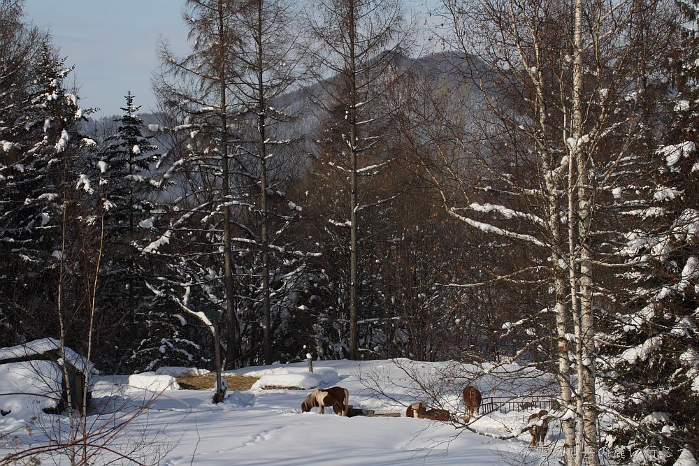 画像クリックで拡大、ドラッグで移動、ふたたびクリックで元に戻ります。 大雪山旭岳の麓に行こう