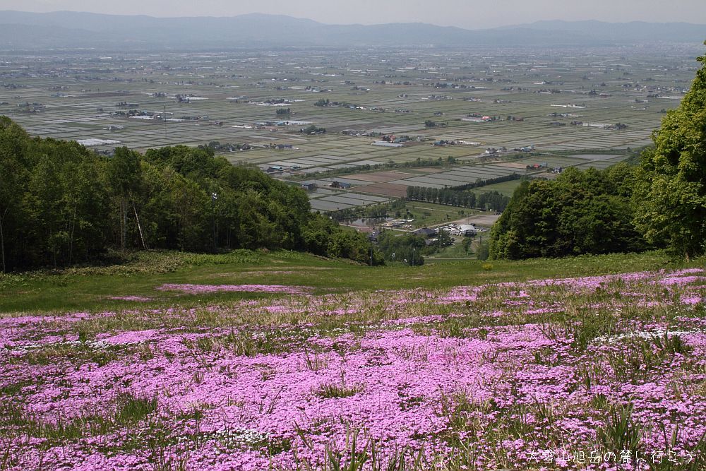 画像クリックで拡大、ドラッグで移動、ふたたびクリックで元に戻ります。 大雪山旭岳の麓に行こう