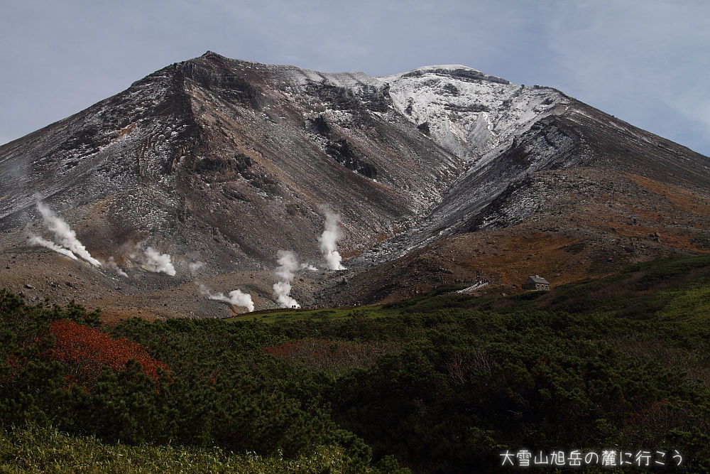 画像クリックで拡大、ドラッグで移動、ふたたびクリックで元に戻ります。 大雪山旭岳の麓に行こう