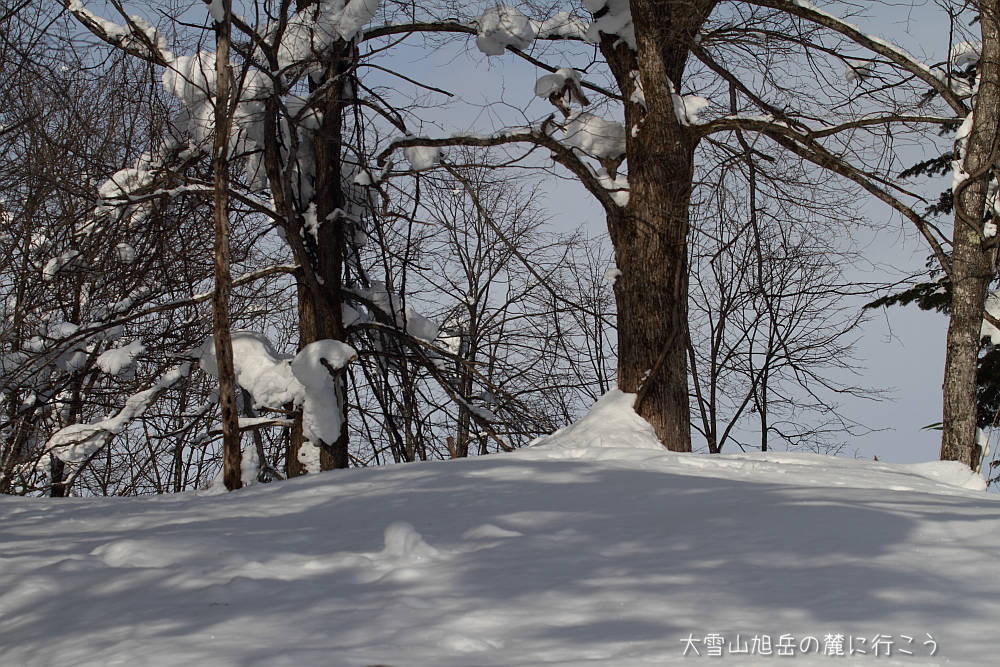 画像クリックで拡大、ドラッグで移動、ふたたびクリックで元に戻ります。 大雪山旭岳の麓に行こう