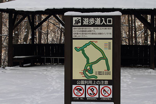 画像クリックで拡大、ドラッグで移動、ふたたびクリックで元に戻ります。 大雪山旭岳の麓に行こうシーズン2