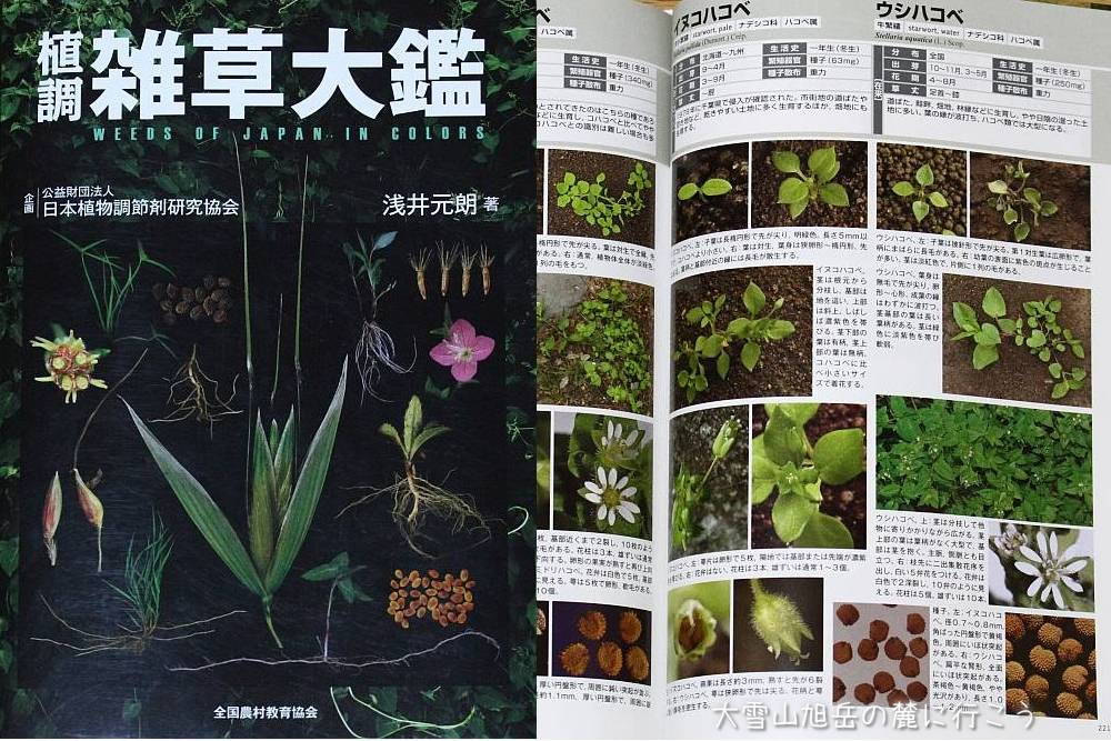 日本最大級 植調雑草大鑑 健康/医学 - mahaayush.in