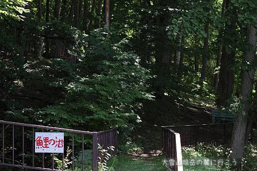 画像クリックで拡大、ドラッグで移動、ふたたびクリックで元に戻ります。 大雪山旭岳の麓に行こうシーズン2