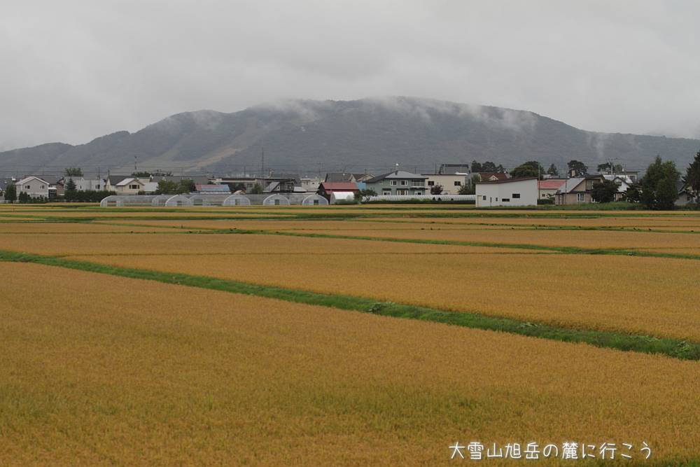画像クリックで拡大、ドラッグで移動、ふたたびクリックで元に戻ります。 大雪山旭岳の麓に行こうシーズン2