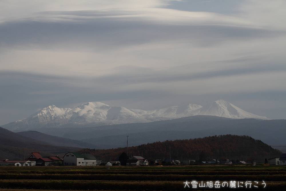 画像クリックで拡大、ドラッグで移動、ふたたびクリックで元に戻ります。 大雪山旭岳の麓に行こうシーズン2