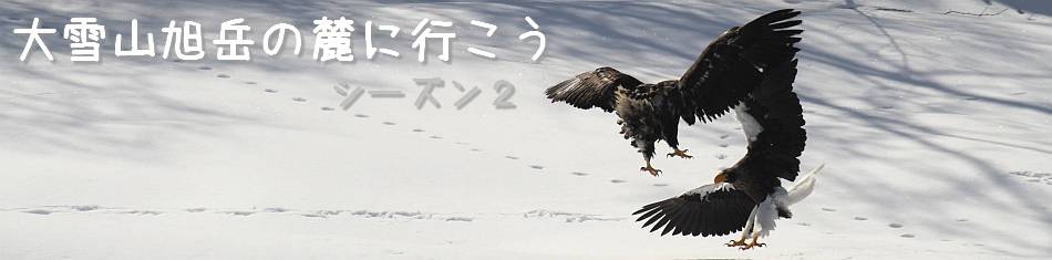 画像クリックで拡大、ドラッグで移動、ふたたびクリックで元に戻ります。 大雪山旭岳の麓に行こうシーズン2