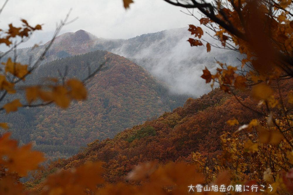 画像クリックで拡大、ドラッグで移動、ふたたびクリックで元に戻ります。 大雪山旭岳の麓に行こうシーズン2