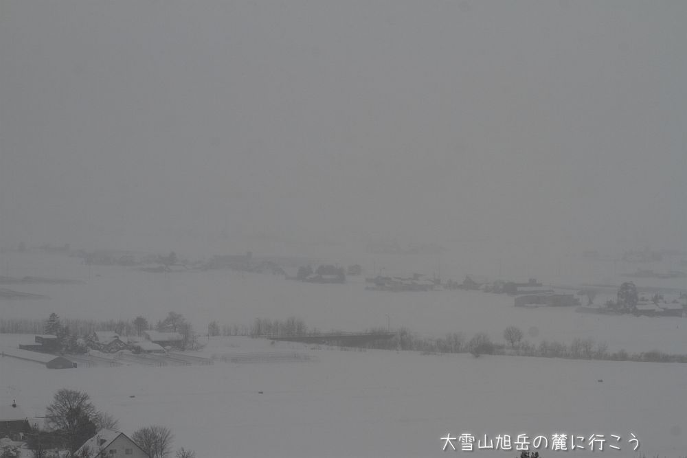 画像クリックで拡大、ドラッグで移動、ふたたびクリックで元に戻ります。 大雪山旭岳の麓に行こうシーズン2