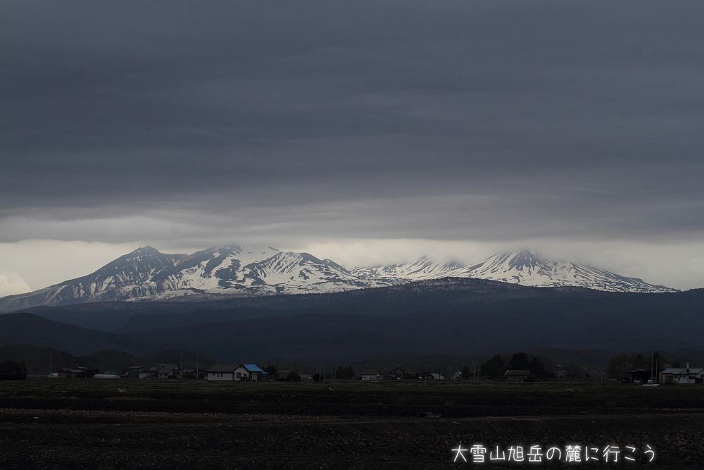 画像クリックで拡大、ドラッグで移動、ふたたびクリックで元に戻ります。 大雪山旭岳の麓に行こうシーズン2