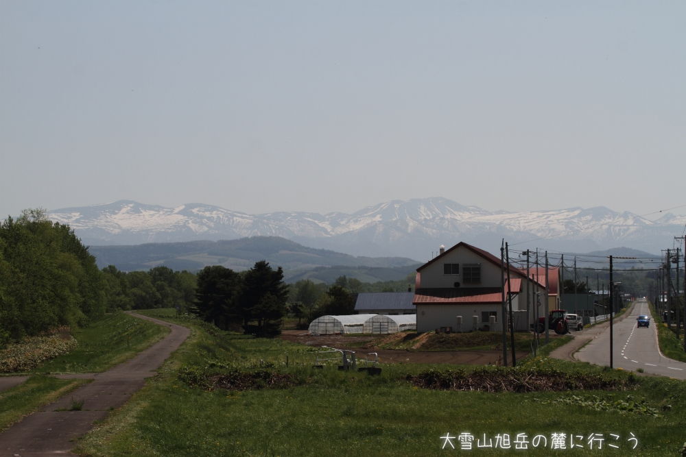 画像クリックで拡大、ドラッグで移動、ふたたびクリックで元に戻ります。 大雪山旭岳の麓に行こうシーズン2