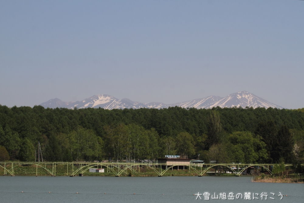 画像クリックで拡大、ドラッグで移動、ふたたびクリックで元に戻ります。 大雪山旭岳の麓に行こうシーズン2