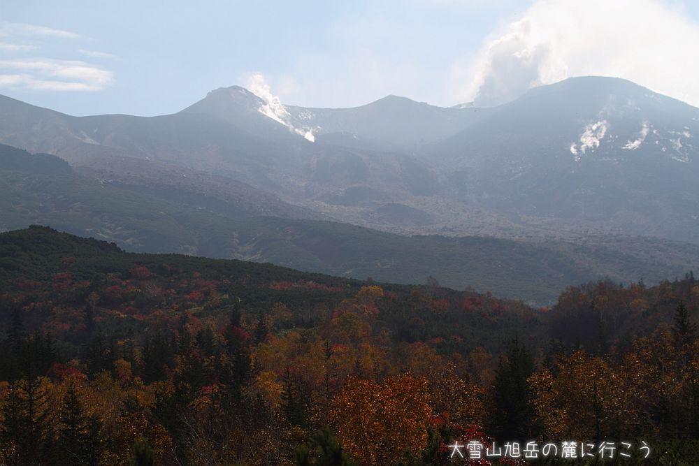 画像クリックで拡大、ドラッグで移動、ふたたびクリックで元に戻ります。 大雪山旭岳の麓に行こうシーズン2