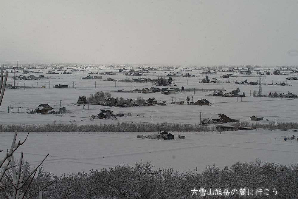 画像クリックで拡大、ドラッグで移動、ふたたびクリックで元に戻ります。 大雪山旭岳の麓に行こうシーズン2