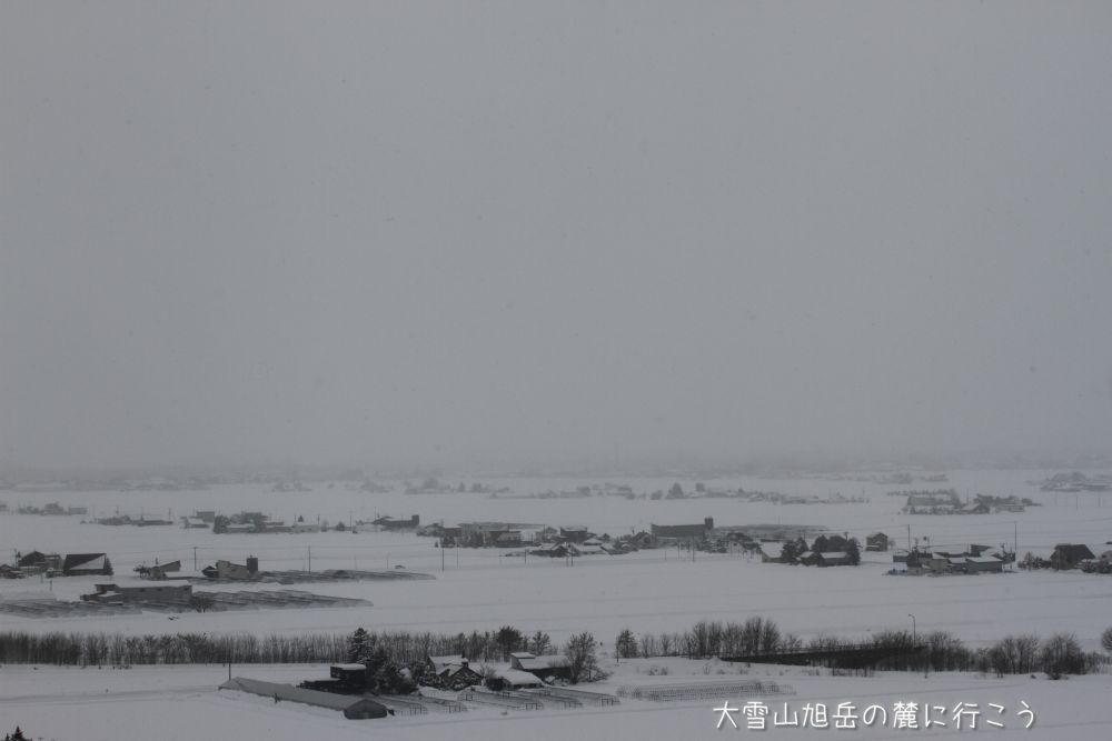 画像クリックで拡大、ドラッグで移動、ふたたびクリックで元に戻ります。 大雪山旭岳の麓に行こうシーズン2