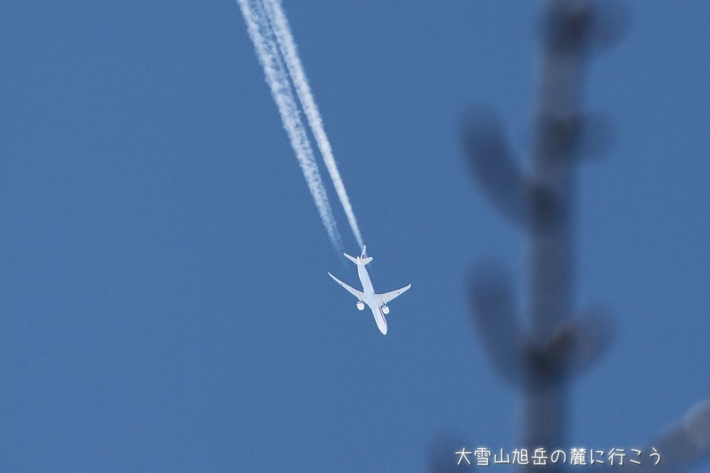 大雪山旭岳の麓に行こうシーズン2