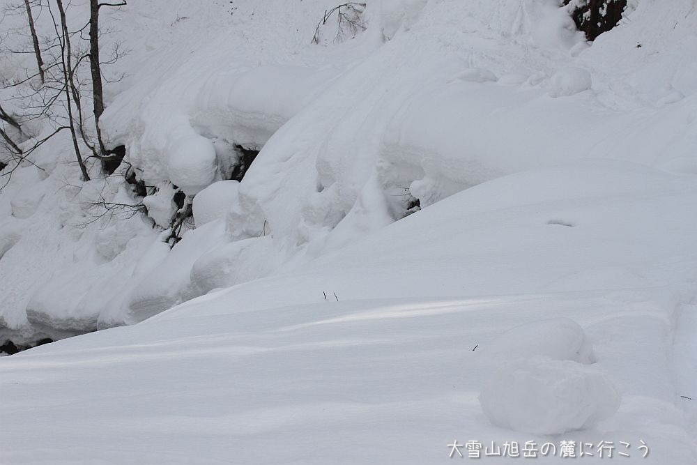 画像クリックで拡大、ドラッグで移動、ふたたびクリックで元に戻ります。 大雪山旭岳の麓に行こうシーズン2