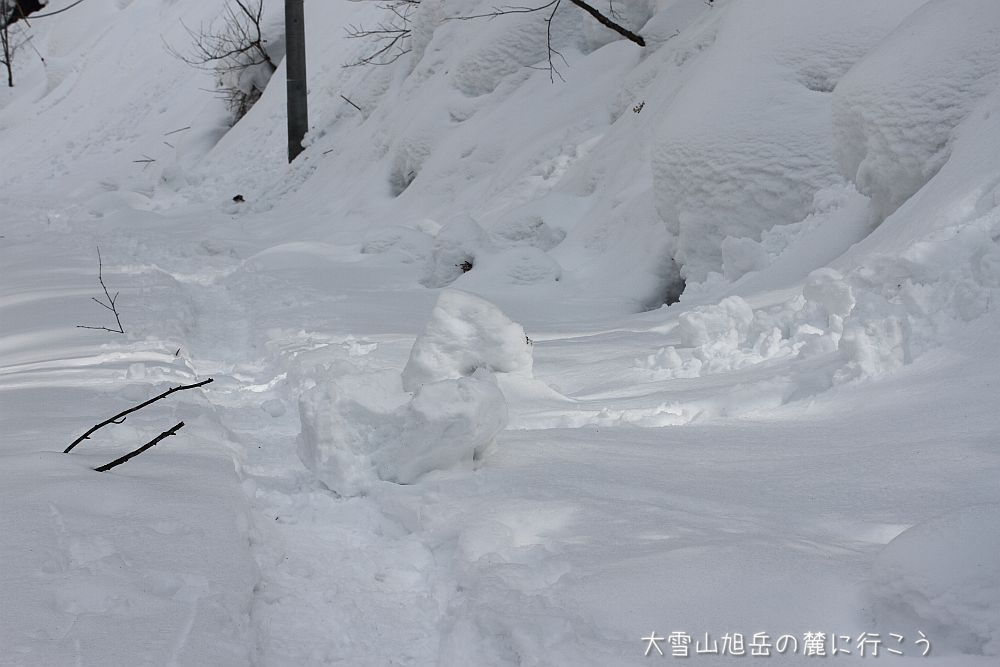 大雪山旭岳の麓に行こうシーズン2