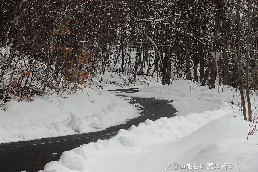 大雪山旭岳の麓に行こうシーズン2