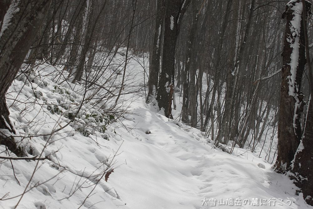 大雪山旭岳の麓に行こうシーズン2
