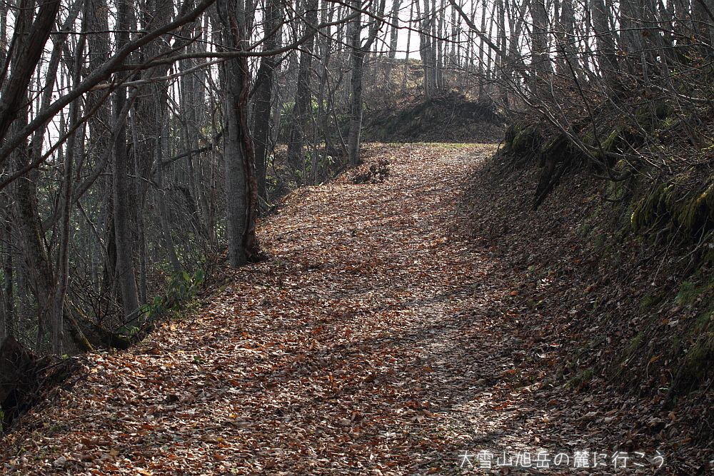 画像クリックで拡大、ドラッグで移動、ふたたびクリックで元に戻ります。 大雪山旭岳の麓に行こうシーズン2