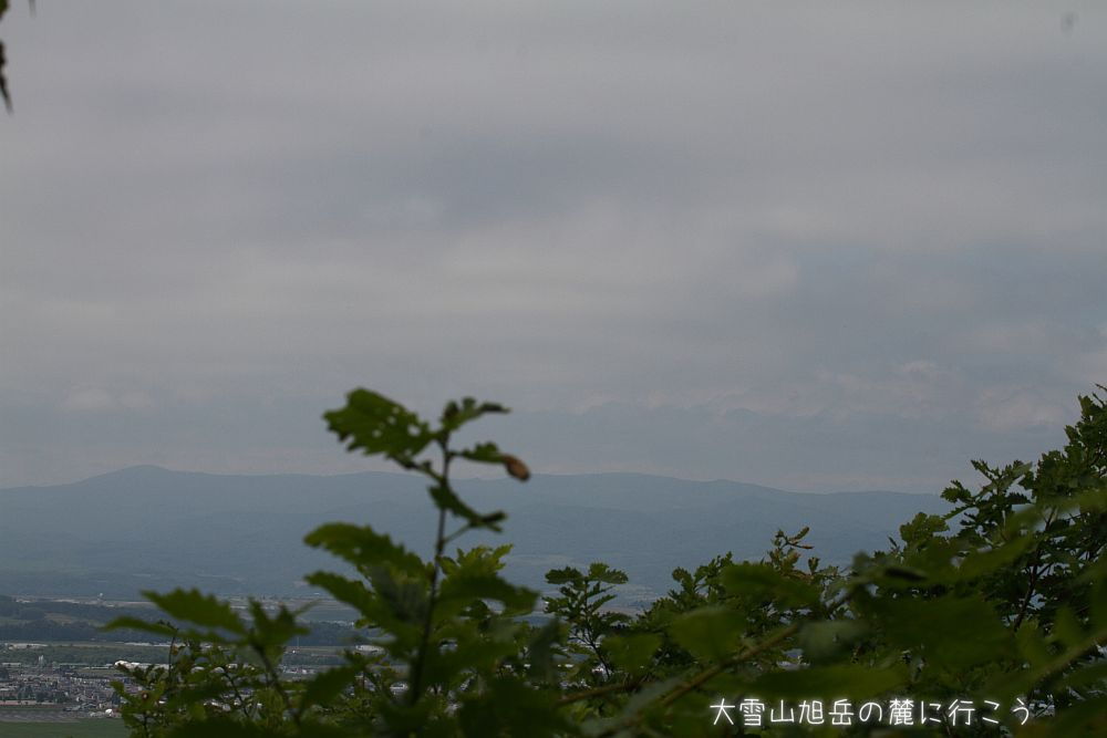 画像クリックで拡大、ドラッグで移動、ふたたびクリックで元に戻ります。 大雪山旭岳の麓に行こうシーズン2