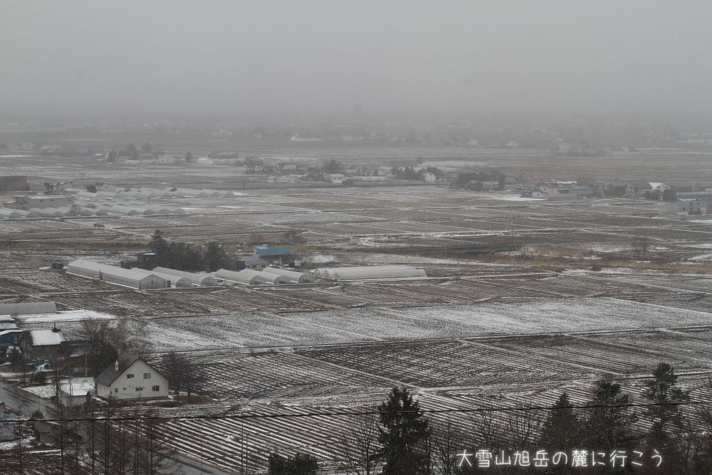 画像クリックで拡大、ドラッグで移動、ふたたびクリックで元に戻ります。 大雪山旭岳の麓に行こうシーズン2