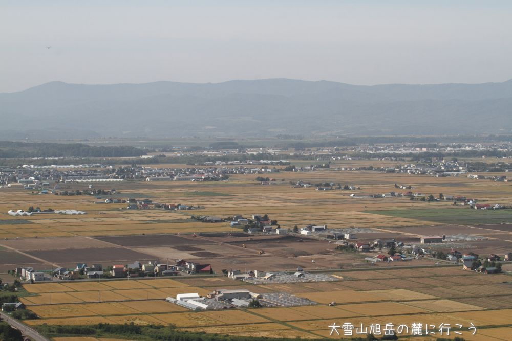 画像クリックで拡大、ドラッグで移動、ふたたびクリックで元に戻ります。 大雪山旭岳の麓に行こうシーズン2